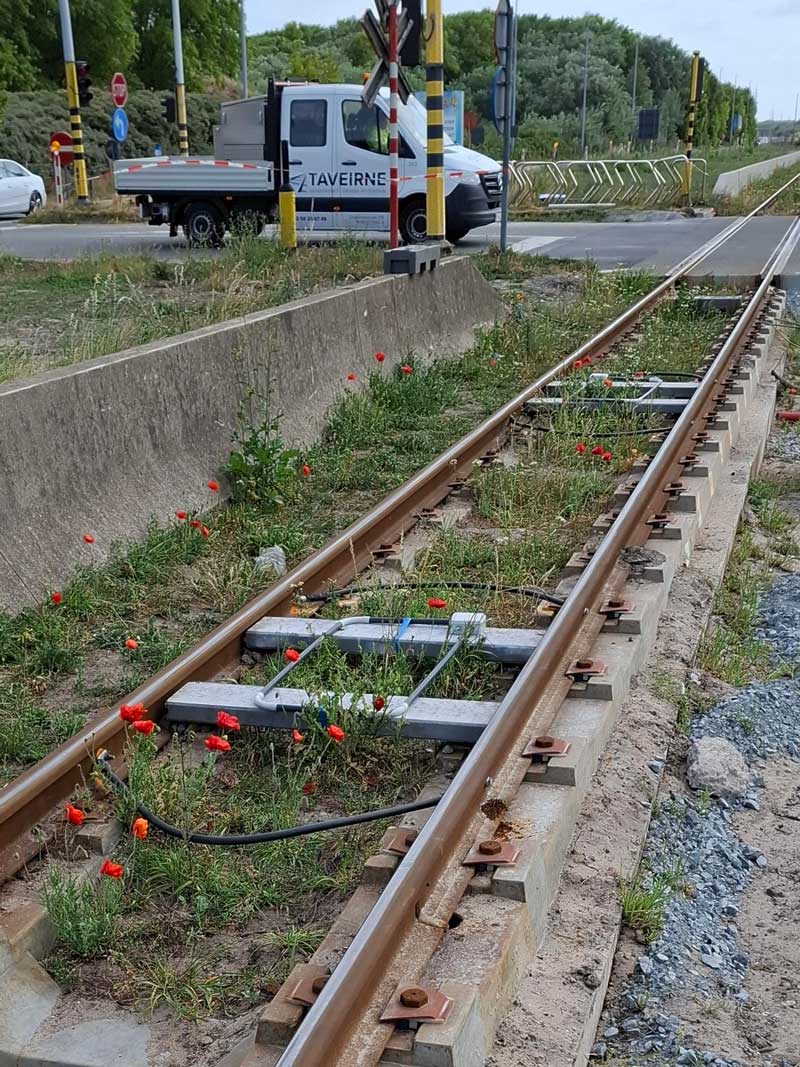 laddertrack7